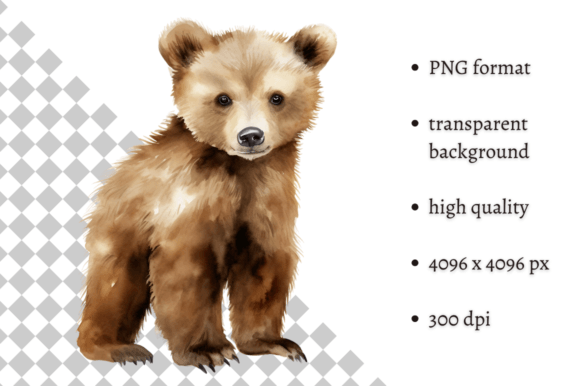 Download Watercolor Woodland Baby Bear Clipart - Woodland baby bear Collection